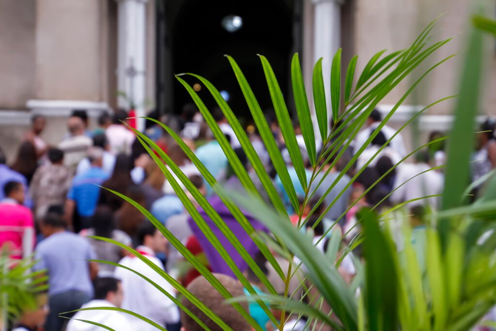 Visita del Papa: multitud de peregrinos frente a la basílica